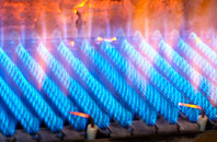 Burtle gas fired boilers